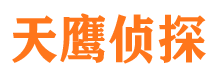 江南市侦探公司